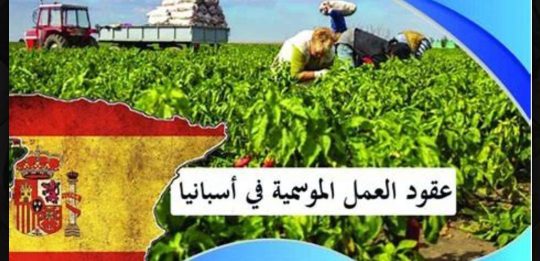 عقود العمل الموسمية في إسبانيا لسنة 2025 بالمجان