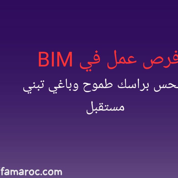 فرص عمل في BIM
