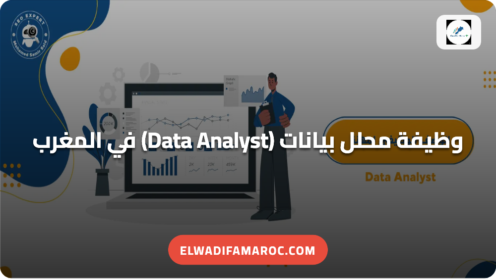 وظيفة محلل بيانات (Data Analyst) في المغرب